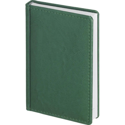 Ежедневник датированный 2026, зеленый,А6, 100х150 мм,336 стр,Agenda