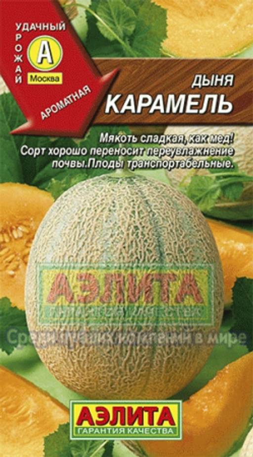Дыня Карамель