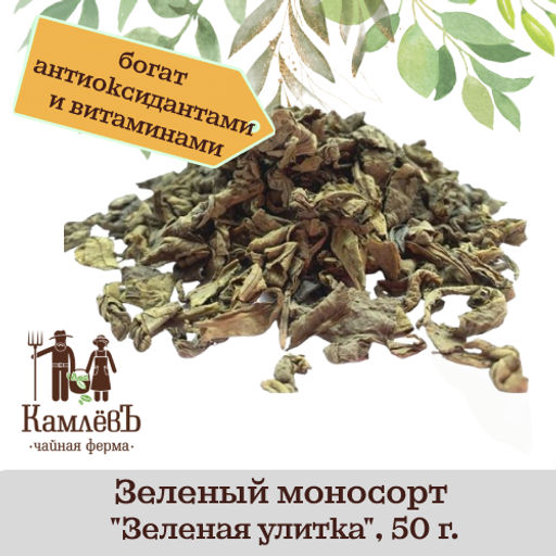 КамлёвЪ Зеленый моносорт Зеленая улитка, 50 г - Камлевъ фото 5