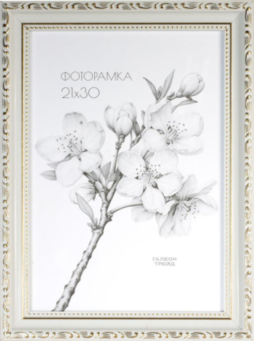Фоторамка 21x30 / 3011C-012AL1 №39/