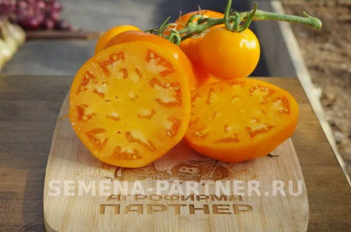 Томат Тропиканка - Партнер фото 3