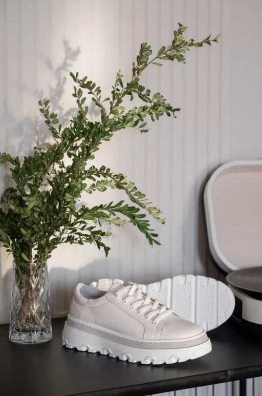 Туфли Ионесси