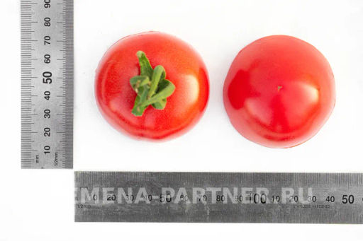 Томат Розовый Шар - Партнер фото 5