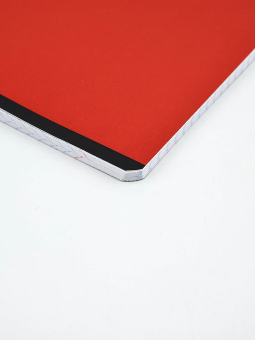 Тетради в клетку, 48 л., набор из 5 шт., блок №1 Россия - Artfox study фото 2