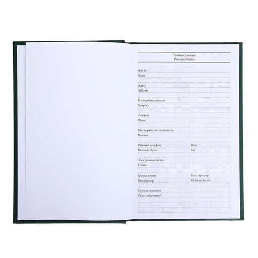 Ежедневник недатированный А5, 128 листов, обложка бумвинил, зелёный