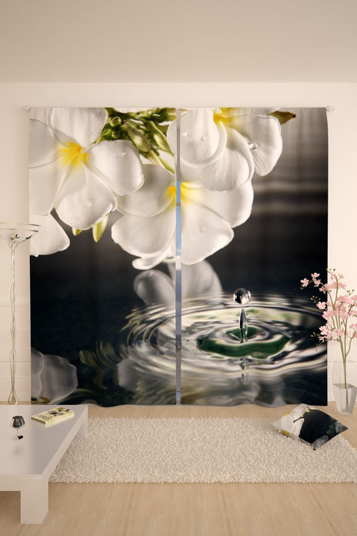 Фотошторы 10805