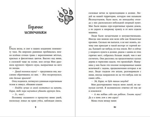 Тайна Холли (#3)