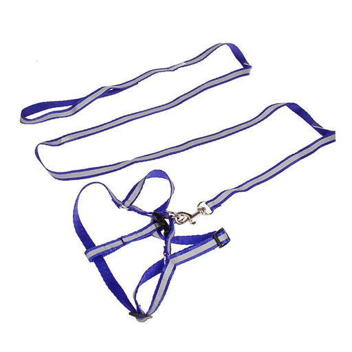 Комплект со светоотражающей лентой, ошейник 120 х 1 см, ОГ 26-40 см, синий - Пижон фото 2