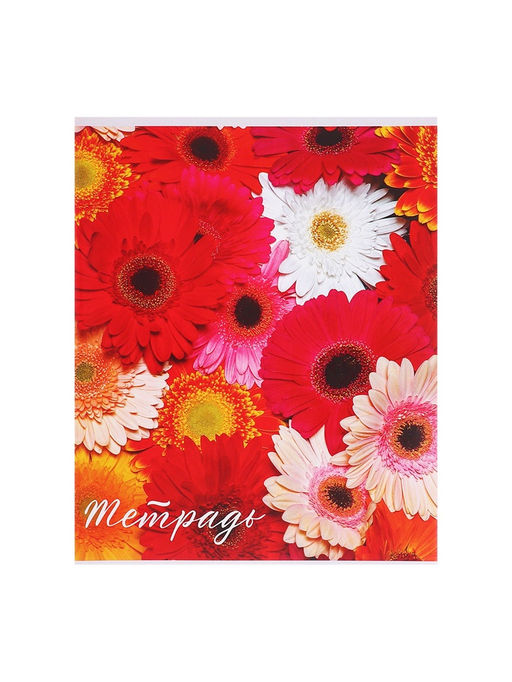 Набор тетрадей 48 листов в клетку, Calligrata «Цветы», 5 штук