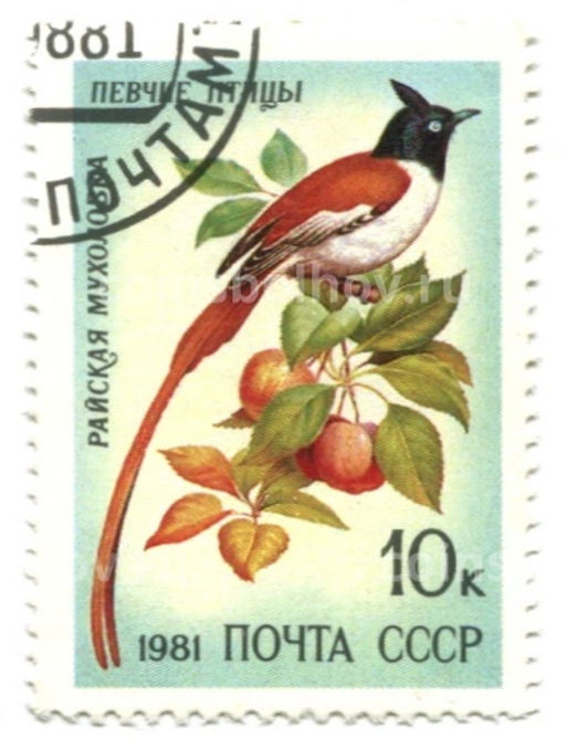 Марка Певчие птицы  Райская мухоловка 1981 год