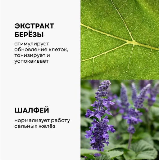 Крем-флюид береза и шалфей - Ecomake фото 3