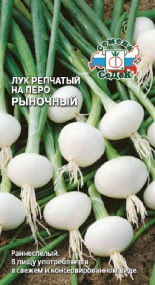 Лук на перо Рыночный 1г (СеДеК)