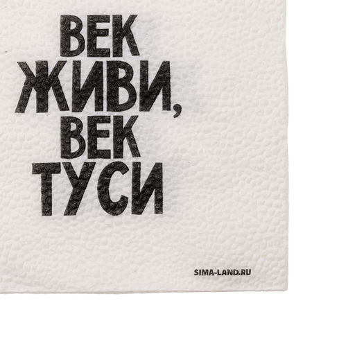 Салфетки бумажные однослойные «Век живи, век туси» 24×24 см, набор 20 шт.