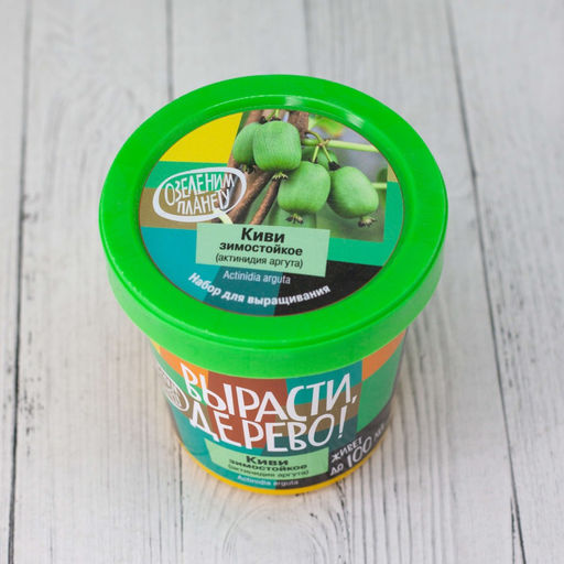 Набор для выращивания "Киви зимостойкое"