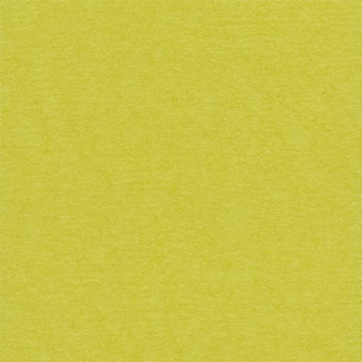 Бумага для скрапбукинга "Mr.Painter" PST 216 г/кв.м 30.5 x 30.5 см 10 шт.