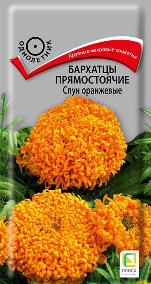 Бархатцы прямостоячие (Тагетес прямостоячий) Спун оранжевые ( ЦВ) (1) 0,1гр. - Поиск фото 2