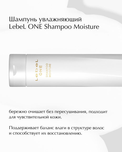 Шампунь увлажняющий LEBEL ONE SHAMPOO MOISTURE , 240 мл.  фото 2