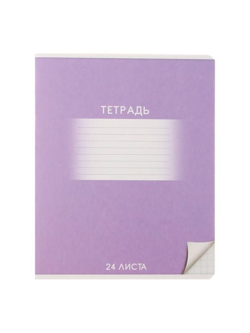 Комплект тетрадей из 10 штук, 24 листа в клетку Calligrata «Школьная», обложка мелованный картон, ВД-лак, блок офсет, 5 видов по 2 штуки