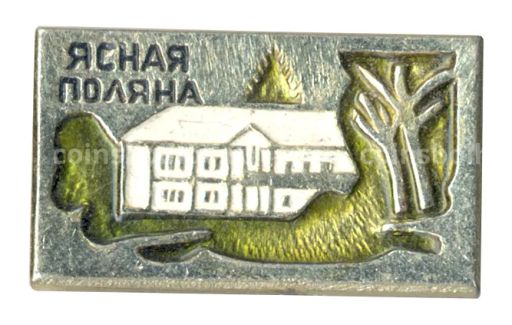 Значок Ясная поляна