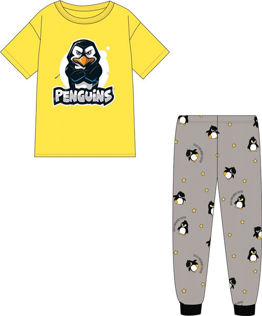 футболка+брюки 2ПФБ5759001н