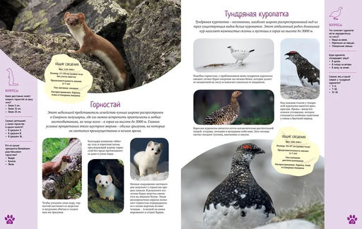 Красочный мир животных. Энциклопедия. Балле К. - Махаон фото 5