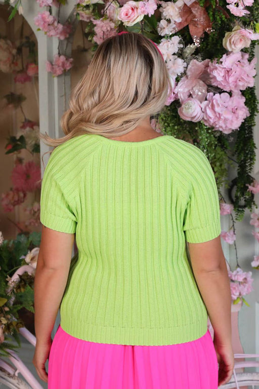 Джемпер Др3-480/15 - Wisell фото 8