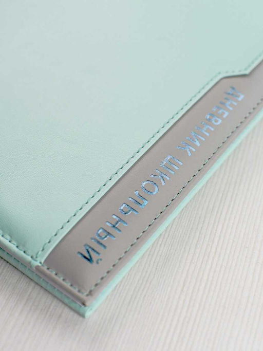 Дневник школьный арт. 68760 / 15 ПЛОНЖЕ МЯТНЫЙ