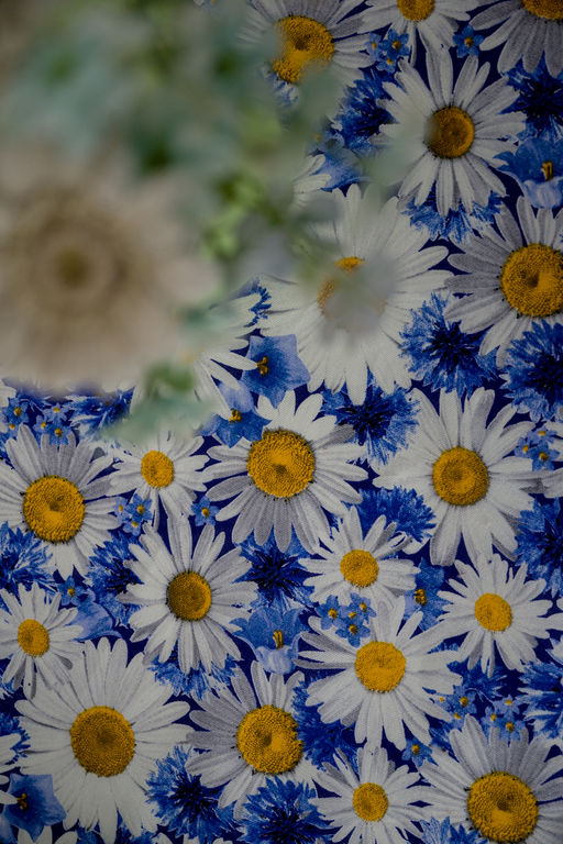 Скатерть Ромашковое поле