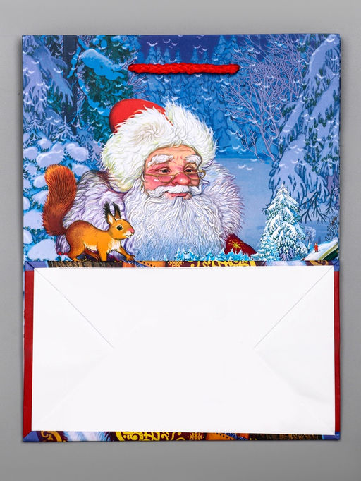 Цена за 6 шт. Пакет подарочный новогодний ламинированный, «Дед мороз», 18×10×22.3 см