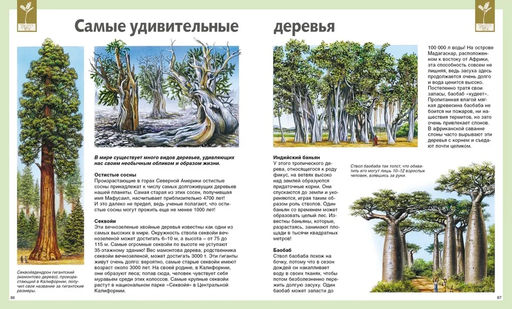 Универсальная школьная энциклопедия (нов.оф.). Перруден Ф., Камбурнак Л., Симон Ф.,... - Махаон фото 4