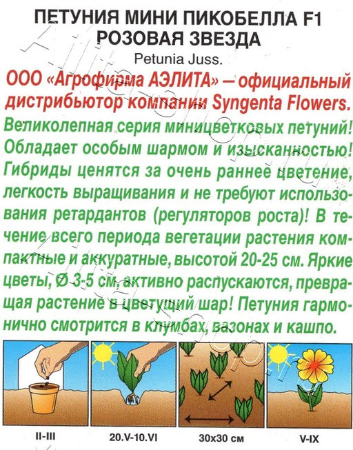 Петуния мини Пикобелла F1 розовая звезда 5шт. (Аэлита)