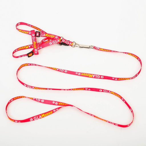 Комплект GlaМууур, шлейка 26-39 см, поводок 120х1 см - Пушистое счастье фото 3