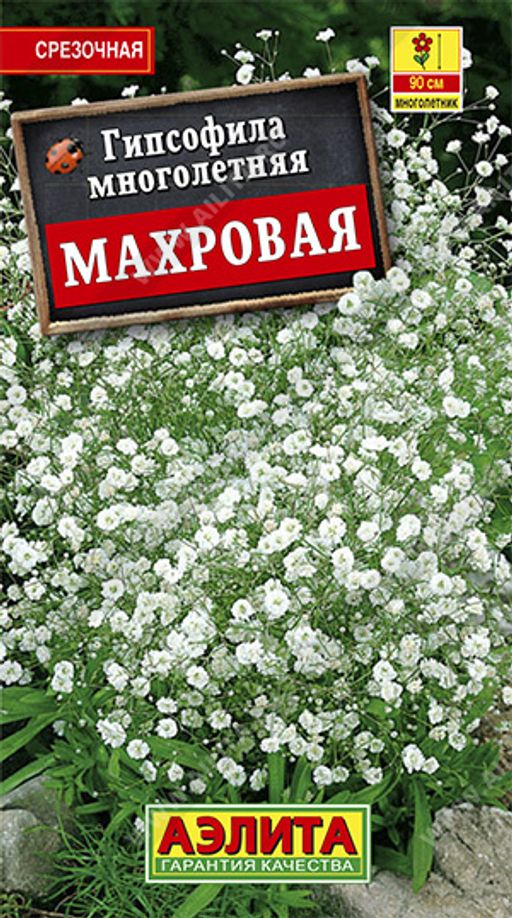 Гипсофила Махровая многолетняя (2026)