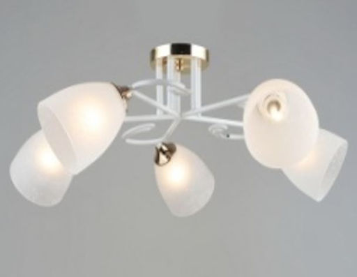 Люстра Эконом ES-001516-5GD