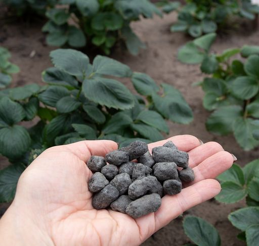 БИО-комплекс Сапропель Суперконцентрат (3 л)  фото 4