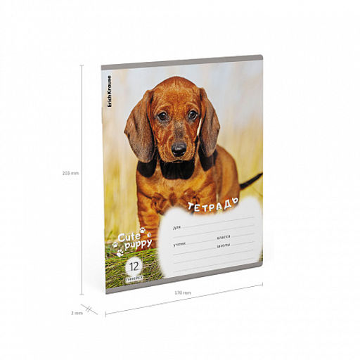 Цена за 10 шт. Тетрадь школьная ученическая ErichKrause Щенки, 12 листов, линейка (в плёнке по 10 шт.)_MIX-PACK  фото 10