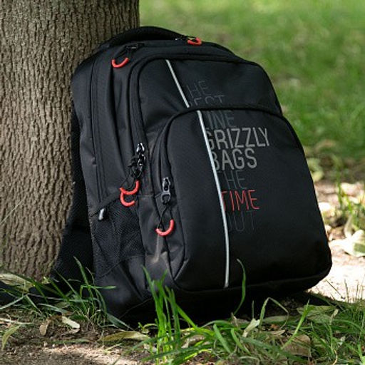 RU-030-31 Рюкзак - Grizzly фото 15