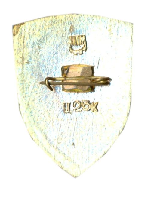 Значок Киев