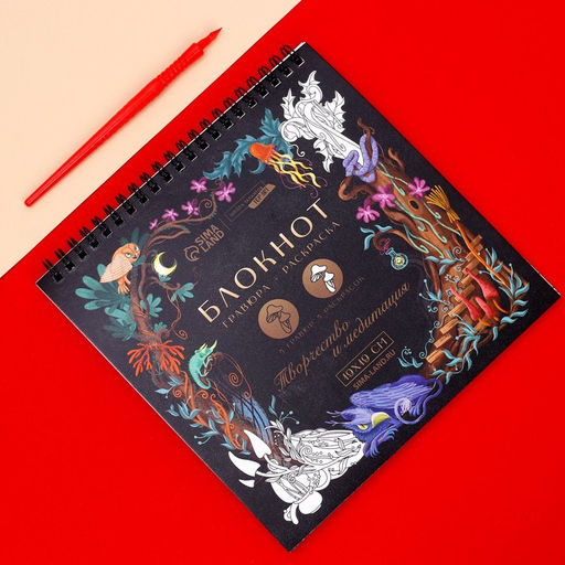 Блокнот гравюра-раскраска 19х19см Воображение - Школа талантов фото 2