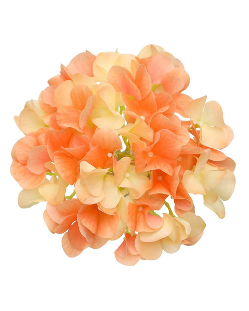 Гортензия соцветие (без стебля) - Персиковый - Real touch фото 2