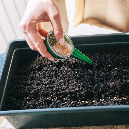 Цена за 3 шт. Сеялка для семян, ручная, для точечной посадки, длина 12 см, пластик