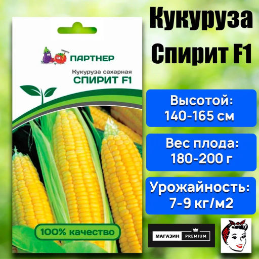 Кукуруза Спирит