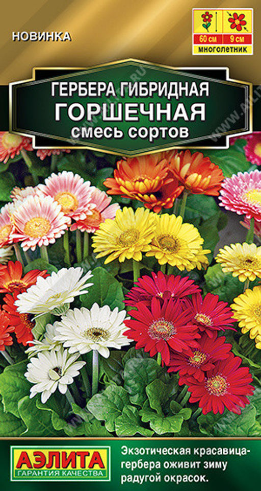 1401A Гербера Горшечная, смесь сортов 10шт