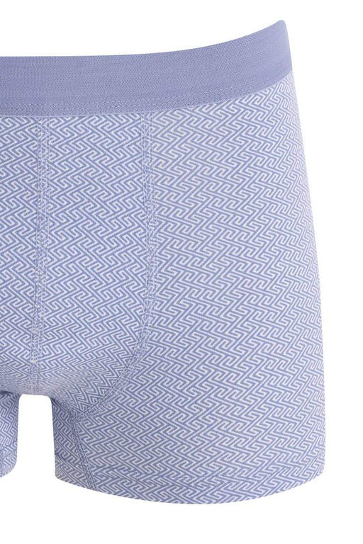 Комплект боксеров стандартной посадки (3 шт.) - Defacto фото 4