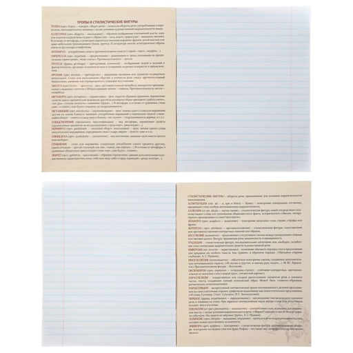 Набор предметных тетрадей Calligrata «Неон», 10 предметов, 48 листов, со справочным материалом, обложка из мелованного картона, УФ-лак, блок офсет