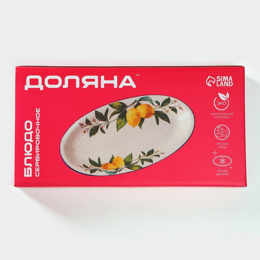 Блюдо овальное Доляна «Лимон», 28×14.5 см, цвет белый