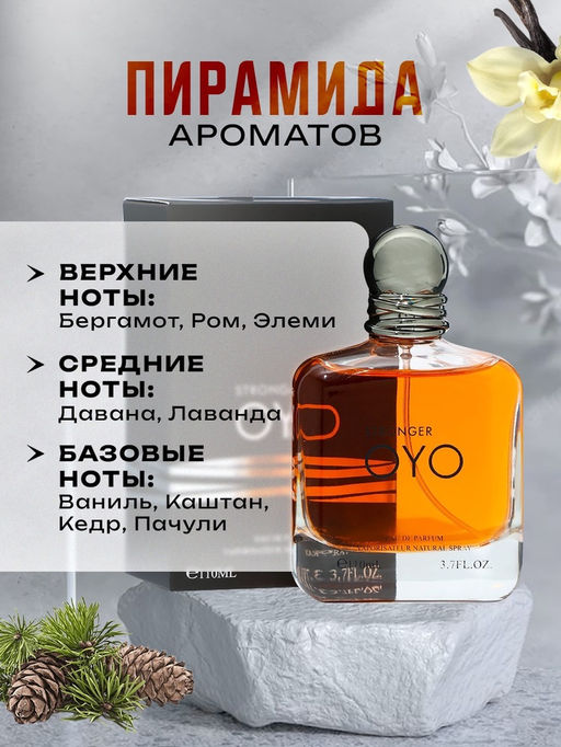 Туалетная вода мужская Stronger Oyo, 110 мл