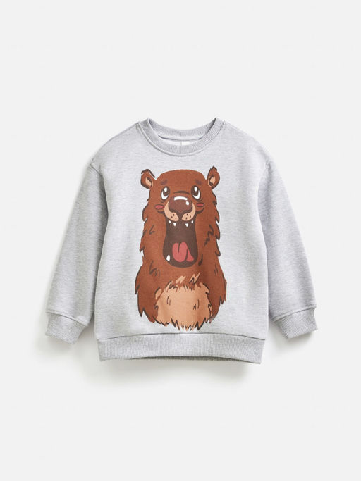 20120170143, Джемпер детский для мальчиков Waco серый Acoola  фото 2