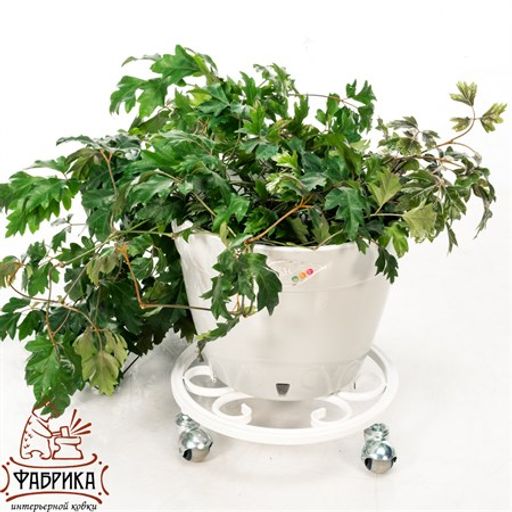 Подставка для цветов напольная 21-002W - Фабрика интерьерной ковки фото 4