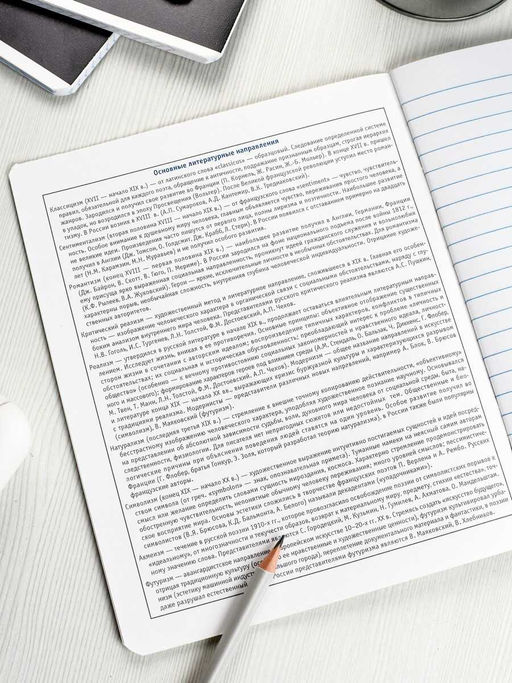 Тетрадь предметная арт. 69832/ 16 КОТЫ МЕМЫ ЛИТЕРАТУРА